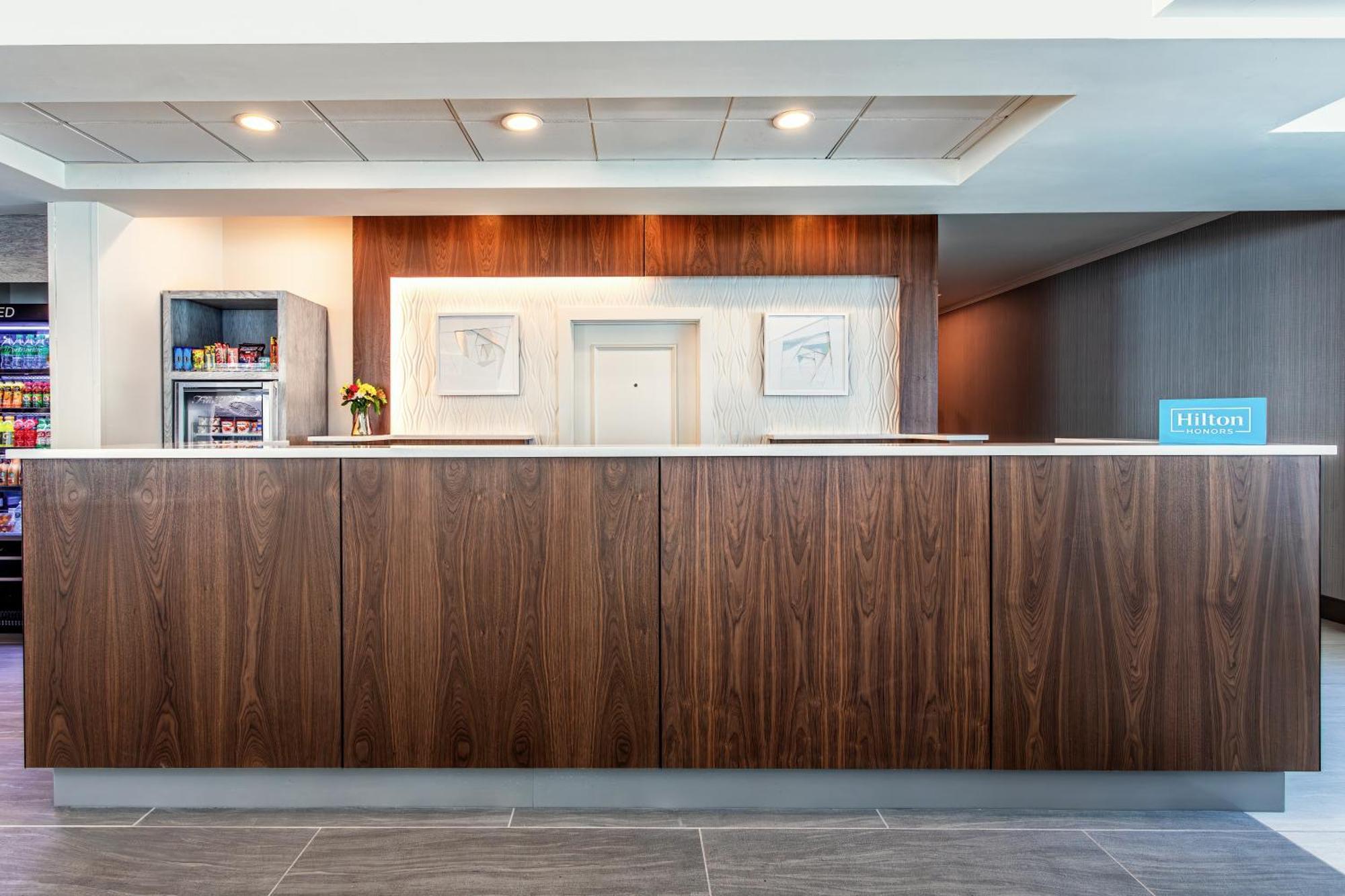 Hilton Garden Inn Tampa Northwest/Oldsmar Dış mekan fotoğraf